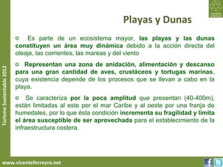 Playas y Dunas
                           o Es parte de un ecosistema mayor, las playas y las dunas
                           constituyen un área muy dinámica debido a la acción directa del
                           oleaje, las corrientes, las mareas y del viento
                           o Representan una zona de anidación, alimentación y descanso
Turismo Sustentable 2012




                           para una gran cantidad de aves, crustáceos y tortugas marinas,
                           cuya existencia depende de los procesos que se llevan a cabo en la
                           playa.
                           o Se caracteriza por la poca amplitud que presentan (40-400m),
                           están limitadas al este por el mar Caribe y al oeste por una franja de
                           humedales, por lo que ésta condición incrementa su fragilidad y limita
                           el área susceptible de ser aprovechada para el establecimiento de la
                           infraestructura costera.




     www.vicenteferreyra.net
 