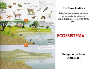 Factores Bióticos
 Relações que os seres têm entre
    si: obtenção de alimento,
reprodução, defesa do território,
              etc…




ECOSSISTEMA


   Biótopo e Factores
        Abióticos
 
