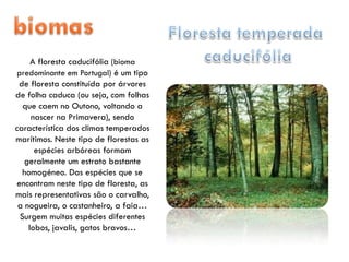 A floresta caducifólia (bioma
predominante em Portugal) é um tipo
 de floresta constituída por árvores
de folha caduca (ou seja, com folhas
  que caem no Outono, voltando a
     nascer na Primavera), sendo
característica dos climas temperados
marítimos. Neste tipo de florestas as
      espécies arbóreas formam
   geralmente um estrato bastante
  homogéneo. Das espécies que se
encontram neste tipo de floresta, as
mais representativas são o carvalho,
 a nogueira, o castanheiro, a faia…
 Surgem muitas espécies diferentes
    lobos, javalis, gatos bravos…
 