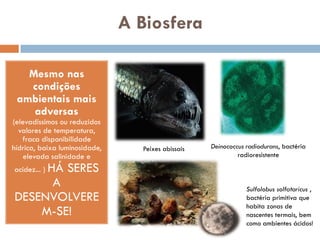 A Biosfera

   Mesmo nas
   condições
 ambientais mais
    adversas
(elevadíssimos ou reduzidos
  valores de temperatura,
   fraca disponibilidade
hídrica, baixa luminosidade,     Peixes abissais   Deinococcus radiodurans, bactéria
    elevada salinidade e                                    radioresistente

     HÁ SERES
acidez... )
      A                                                        Sulfolobus solfataricus ,
DESENVOLVERE                                                   bactéria primitiva que
                                                               habita zonas de
    M-SE!                                                      nascentes termais, bem
                                                               como ambientes ácidos!
 