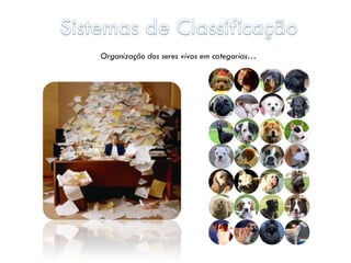Organização dos seres vivos em categorias…
 