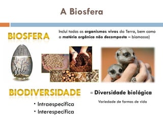 A Biosfera
          Inclui todos os organismos vivos da Terra, bem como
          a matéria orgânica não decomposta – biomassa)




                          = Diversidade       biológica
                              Variedade de formas de vida
 Intraespecífica
 Interespecífica
 