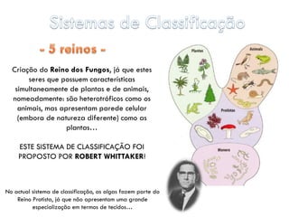 Criação do Reino dos Fungos, já que estes
       seres que possuem características
   simultaneamente de plantas e de animais,
  nomeadamente: são heterotróficos como os
    animais, mas apresentam parede celular
    (embora de natureza diferente) como as
                   plantas…

    ESTE SISTEMA DE CLASSIFICAÇÃO FOI
    PROPOSTO POR ROBERT WHITTAKER!



No actual sistema de classificação, as algas fazem parte do
    Reino Protista, já que não apresentam uma grande
          especialização em termos de tecidos…
 