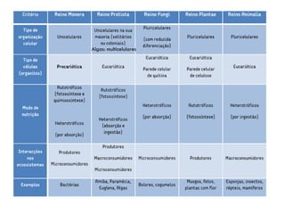 Algas: multicelulares
 