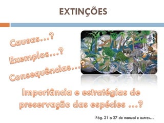 EXTINÇÕES




      Pág. 21 a 27 de manual e outros…
 