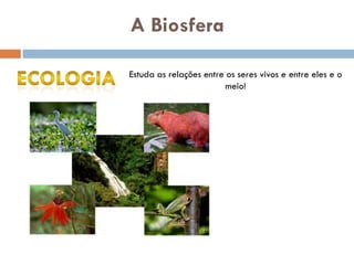 A Biosfera

Estuda as relações entre os seres vivos e entre eles e o
                        meio!
 