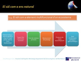 1.4. El sòl com a element multifuncional d’un ecosistema
Hàbitat biològic i
reserva genètica
al ser un medi
porós, reserva
de la
biodiversitat
Suport físic
d’activitats
humanes
Font de matèries
primeres
Manteniment
del paisatge
Protecció de
restes
arqueològiques
Font
d’informació
geològica i
geomorfològica
Sergi Meseguer Costa Àrea de Cristal·lografia i Mineralogia-Departament de Ciències Agràries i del Medi Natural
 