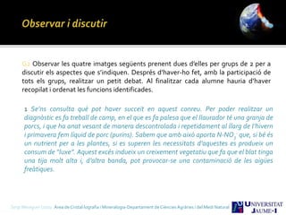 G2 Observar les quatre imatges següents prenent dues d’elles per grups de 2 per a
discutir els aspectes que s’indiquen. Després d’haver-ho fet, amb la participació de
tots els grups, realitzar un petit debat. Al finalitzar cada alumne hauria d’haver
recopilat i ordenat les funcions identificades.
1 Se’ns consulta què pot haver succeït en aquest conreu. Per poder realitzar un
diagnòstic es fa treball de camp, en el que es fa palesa que el llaurador té una granja de
porcs, i que ha anat vesant de manera descontrolada i repetidament al llarg de l’hivern
i primavera fem líquid de porc (purins). Sabem que amb això aporta N-NO3
- que, si bé és
un nutrient per a les plantes, si es superen les necessitats d’aquestes es produeix un
consum de “luxe”. Aquest excés indueix un creixement vegetatiu que fa que el blat tinga
una tija molt alta i, d’altra banda, pot provocar-se una contaminació de les aigües
freàtiques.
Sergi Meseguer Costa Àrea de Cristal·lografia i Mineralogia-Departament de Ciències Agràries i del Medi Natural
 