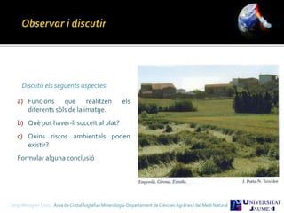 Discutir els següents aspectes:
a) Funcions que realitzen els
diferents sòls de la imatge.
b) Què pot haver-li succeït al blat?
c) Quins riscos ambientals poden
existir?
Formular alguna conclusió
Sergi Meseguer Costa Àrea de Cristal·lografia i Mineralogia-Departament de Ciències Agràries i del Medi Natural
 