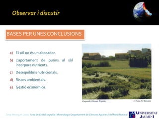 BASES PER UNES CONCLUSIONS
a) El sòl no és un abocador.
b) L’aportament de purins al sòl
incorpora nutrients.
c) Desequilibris nutricionals.
d) Riscos ambientals.
e) Gestió econòmica.
Sergi Meseguer Costa Àrea de Cristal·lografia i Mineralogia-Departament de Ciències Agràries i del Medi Natural
 