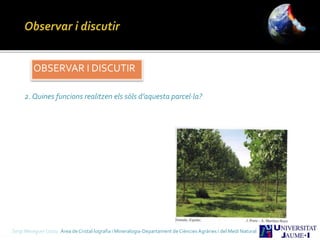 OBSERVAR I DISCUTIR
2. Quines funcions realitzen els sòls d’aquesta parcel·la?
Sergi Meseguer Costa Àrea de Cristal·lografia i Mineralogia-Departament de Ciències Agràries i del Medi Natural
 