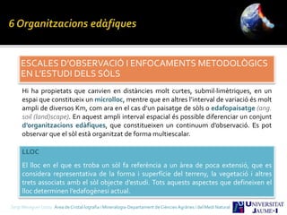 ESCALES D’OBSERVACIÓ I ENFOCAMENTS METODOLÒGICS
EN L’ESTUDI DELS SÒLS
Hi ha propietats que canvien en distàncies molt curtes, submil·limètriques, en un
espai que constitueix un microlloc, mentre que en altres l’interval de variació és molt
ampli de diversos Km, com ara en el cas d’un paisatge de sòls o edafopaisatge (ang.
soil (land)scape). En aquest ampli interval espacial és possible diferenciar un conjunt
d’organitzacions edàfiques, que constitueixen un continuum d’observació. Es pot
observar que el sòl està organitzat de forma multiescalar.
LLOC
El lloc en el que es troba un sòl fa referència a un àrea de poca extensió, que es
considera representativa de la forma i superfície del terreny, la vegetació i altres
trets associats amb el sòl objecte d’estudi. Tots aquests aspectes que defineixen el
lloc determinen l’edafogènesi actual.
Sergi Meseguer Costa Àrea de Cristal·lografia i Mineralogia-Departament de Ciències Agràries i del Medi Natural
 