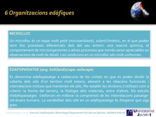 MICROLLOC
Un microlloc és un espai molt petit (microambient), submil·limètric, en el que poden
tenir lloc processos diferenciats dels del seu entorn: una reacció química, el
comportament de microorganismes o altres processos que només seran apreciables en
observacions de molt de detall. Les condicions en un microlloc són molt uniformes.
EDAFOPAISATGE (ang. Soil(land)scape: soilscape)
Es denomina edafopaisatge a cadascuna de les unitats en que es poden dividir la
coberta dels sòls d’un territori molt extens, atenent a les relacions funcionals i
interrelacions mútues que mantenen els sòls. Per establir les divisions s’utilitzen com a
criteris: la forma del terreny, la litologia dels materials, entre d’altres. Els estudis
d’edafopaisatges s’esforcen en millorar la comprensió de les interrelacions paisatge-
sòl-éssers humans. La variabilitat dels sòls en un edafopaisatge és d’esperar que siga
gran.
Sergi Meseguer Costa Àrea de Cristal·lografia i Mineralogia-Departament de Ciències Agràries i del Medi Natural
 
