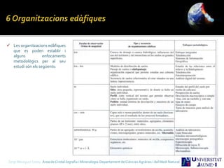  Les organitzacions edàfiques
que es poden establir i
alguns enfocaments
metodològics per al seu
estudi són els següents:
Sergi Meseguer Costa Àrea de Cristal·lografia i Mineralogia-Departament de Ciències Agràries i del Medi Natural
 