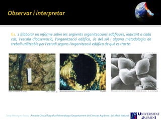 E1. 1 Elaborar un informe sobre les següents organitzacions edàfiques, indicant a cada
cas, l’escala d’observació, l’organització edàfica, ús del sòl i alguna metodologia de
treball utilitzable per l’estudi segons l’organització edàfica de què es tracte:
Sergi Meseguer Costa Àrea de Cristal·lografia i Mineralogia-Departament de Ciències Agràries i del Medi Natural
 