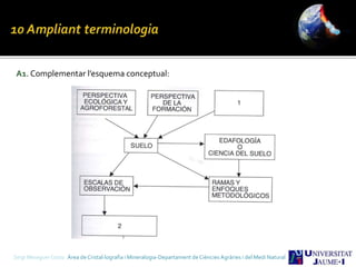 A1. Complementar l’esquema conceptual:
Sergi Meseguer Costa Àrea de Cristal·lografia i Mineralogia-Departament de Ciències Agràries i del Medi Natural
 
