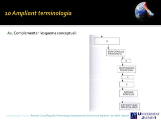 A1. Complementar l’esquema conceptual:
Sergi Meseguer Costa Àrea de Cristal·lografia i Mineralogia-Departament de Ciències Agràries i del Medi Natural
 