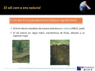 El sòl des d’una perspectiva ecològica i agroforestal
 El límit inferior s’estableix de manera arbitrària en 2 metres (NRCS, 2006)
 El sòl intervé en: règim hídric, transferència de fluids, afectant a un
espessor major.
Sergi Meseguer Costa Àrea de Cristal·lografia i Mineralogia-Departament de Ciències Agràries i del Medi Natural
 