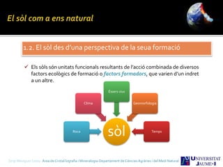 1.2. El sòl des d’una perspectiva de la seua formació
 Els sòls són unitats funcionals resultants de l’acció combinada de diversos
factors ecològics de formació o factors formadors, que varien d’un indret
a un altre.
sòlRoca
Clima
Éssers vius
Geomorfologia
Temps
Sergi Meseguer Costa Àrea de Cristal·lografia i Mineralogia-Departament de Ciències Agràries i del Medi Natural
 