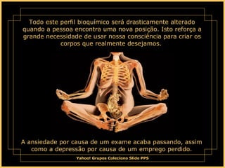 Todo este perfil bioquímico será drasticamente alterado quando a pessoa encontra uma nova posição. Isto reforça a grande necessidade de usar nossa consciência para criar os corpos que realmente desejamos.  A ansiedade por causa de um exame acaba passando, assim como a depressão por causa de um emprego perdido. 