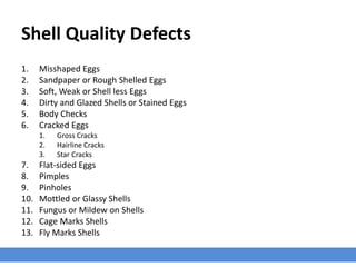Shell Quality Defects
1. Misshaped Eggs
2. Sandpaper or Rough Shelled Eggs
3. Soft, Weak or Shell less Eggs
4. Dirty and Glazed Shells or Stained Eggs
5. Body Checks
6. Cracked Eggs
1. Gross Cracks
2. Hairline Cracks
3. Star Cracks
7. Flat-sided Eggs
8. Pimples
9. Pinholes
10. Mottled or Glassy Shells
11. Fungus or Mildew on Shells
12. Cage Marks Shells
13. Fly Marks Shells
 
