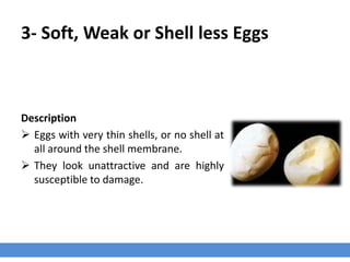 Weaker Shells 1-eggshellqualitydefects-151122104347-lva1-app6892.pdf
