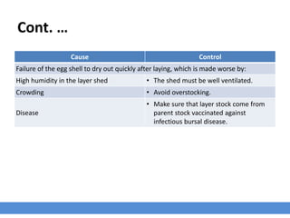 Cont. …
Cause Control
Failure of the egg shell to dry out quickly after laying, which is made worse by:
High humidity in the layer shed • The shed must be well ventilated.
Crowding • Avoid overstocking.
Disease
• Make sure that layer stock come from
parent stock vaccinated against
infectious bursal disease.
 