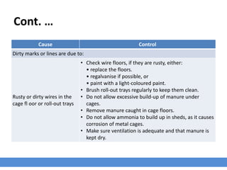 Cont. …
Cause Control
Dirty marks or lines are due to:
Rusty or dirty wires in the
cage fl oor or roll-out trays
• Check wire floors, if they are rusty, either:
• replace the floors.
• regalvanise if possible, or
• paint with a light-coloured paint.
• Brush roll-out trays regularly to keep them clean.
• Do not allow excessive build-up of manure under
cages.
• Remove manure caught in cage floors.
• Do not allow ammonia to build up in sheds, as it causes
corrosion of metal cages.
• Make sure ventilation is adequate and that manure is
kept dry.
 