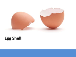 Egg Shell
 