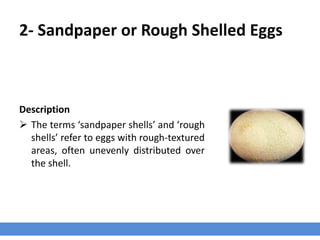 Eggshell_Quality_and_Defects | PPTX