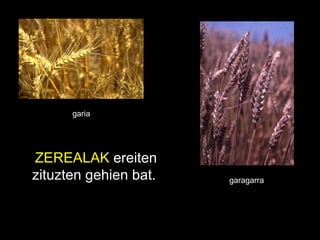 ZEREALAK  ereiten zituzten gehien bat.  garia garagarra 