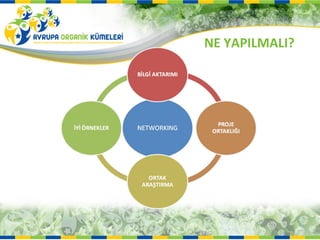 NE YAPILMALI?
 