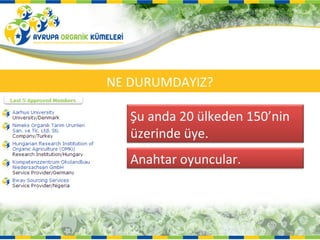 NE DURUMDAYIZ?

   Şu anda 20 ülkeden 150’nin
   üzerinde üye.
   Anahtar oyuncular.
 