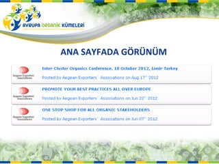 ANA SAYFADA GÖRÜNÜM
 