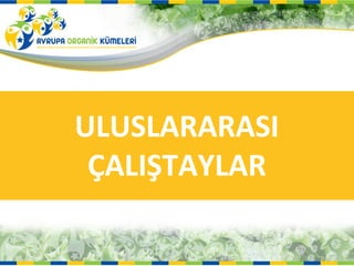 ULUSLARARASI
 ÇALIŞTAYLAR
 