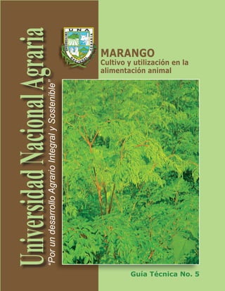 MARANGO 
Cultivo y utilización en la 
alimentación animal 
“Por un desarrollo Agrario Integral y Sostenible” 
Guía Técnica No. 5 
 