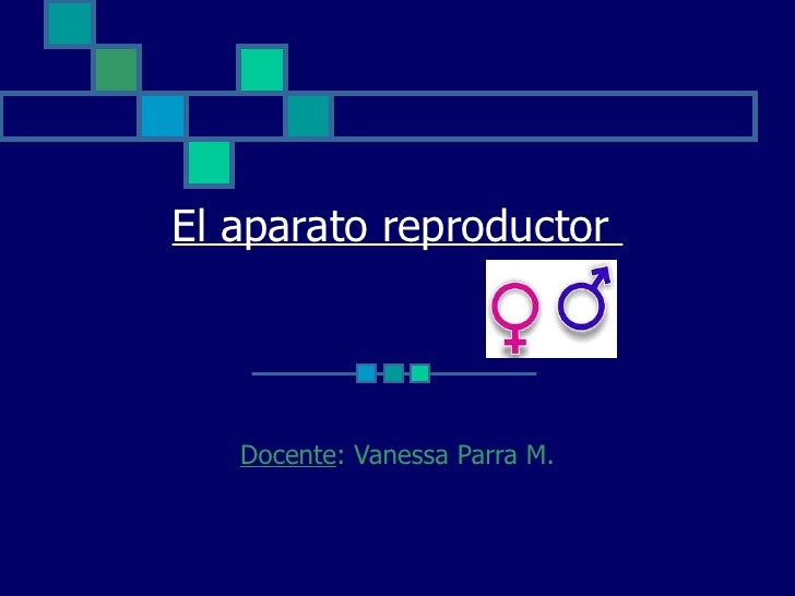 sistema reproductor masculino ppt Anatomía del aparato reproductor masculino |authorstream.