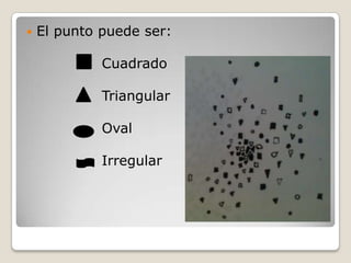    El punto puede ser:

             Cuadrado

             Triangular

             Oval

             Irregular
 