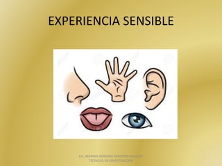 EXPERIENCIA	SENSIBLE
LIC.	MARINA	ADRIANA	HERRERA	VAZQUEZ		
TECNICAS	DE	INVESTIGACION
 