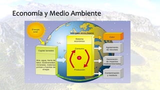Economía y Medio Ambiente
 