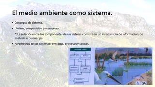 El medio ambiente como sistema.
• Concepto de sistema.
• Límites, composición y estructura.
* La relación entre los componentes de un sistema consiste en un intercambio de información, de
materia o de energía.
• Parámetros de los sistemas: entradas, procesos y salidas.
 