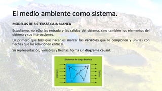 El medio ambiente como sistema.
MODELOS DE SISTEMAS CAJA BLANCA
Estudiamos no sólo las entrada y las salidas del sistema, sino también los elementos del
sistema y sus interacciones.
Lo primero que hay que hacer es marcar las variables que lo componen y unirlas con
flechas que las relacionen entre sí.
Su representación, variables y flechas, forma un diagrama causal.
 