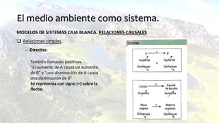 El medio ambiente como sistema.
MODELOS DE SISTEMAS CAJA BLANCA. RELACIONES CAUSALES
 Relaciones simples.
- Directas:
También llamadas positivas.
“El aumento de A causa un aumento
de B” y “una disminución de A causa
una disminución de B”
Se representa con signo (+) sobre la
flecha.
 