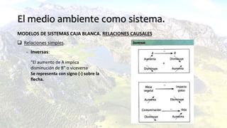 El medio ambiente como sistema.
MODELOS DE SISTEMAS CAJA BLANCA. RELACIONES CAUSALES
 Relaciones simples.
- Inversas:
“El aumento de A implica
disminución de B” o viceversa
Se representa con signo (-) sobre la
flecha.
 