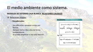 El medio ambiente como sistema.
MODELOS DE SISTEMAS CAJA BLANCA. RELACIONES CAUSALES
 Relaciones simples.
- Encadenadas:
Son diferentes variables unidas por
flechas.
Siempre leerlas dos a dos de forma
independiente.
Se puede simplificar a una sola relación.
 