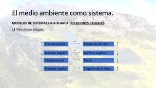 El medio ambiente como sistema.
MODELOS DE SISTEMAS CAJA BLANCA. RELACIONES CAUSALES
 Relaciones simples.
Precipitaciones Caudal de los ríos
+
Biomasa vegetal Materia orgánica
+
Contaminación Peces
-
Biomasa vegetal Impacto de la lluvia
-
 