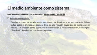 El medio ambiente como sistema.
MODELOS DE SISTEMAS CAJA BLANCA. RELACIONES CAUSALES
 Relaciones complejas:
Son las acciones de un elemento sobre otro que implican, a su vez, que este último
actúe sobre el primero, es decir, se trata de una relación causal que se cierra sobre sí
misma. Se conocen como bucles de realimentación o retroalimentación, o en inglés
“feedback”. Pueden ser positivos o negativos.
 