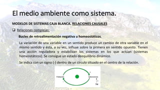 El medio ambiente como sistema.
MODELOS DE SISTEMAS CAJA BLANCA. RELACIONES CAUSALES
 Relaciones complejas:
Bucles de retroalimentación negativa u homeostáticos.
La variación de una variable en un sentido produce un cambio de otra variable en el
mismo sentido y ésta, a su vez, influye sobre la primera en sentido opuesto. Tienen
una acción reguladora y estabilizan los sistemas en los que actúan (sistemas
homeostáticos). Se consigue un estado deequilibrio dinámico.
Se indica con un signo (-) dentro de un círculo situado en el centro de la relación.
 
