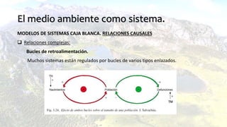 El medio ambiente como sistema.
MODELOS DE SISTEMAS CAJA BLANCA. RELACIONES CAUSALES
 Relaciones complejas:
Bucles de retroalimentación.
Muchos sistemas están regulados por bucles de varios tipos enlazados.
 