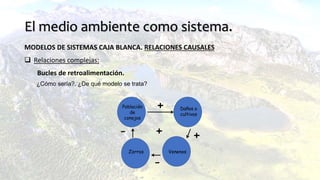 El medio ambiente como sistema.
MODELOS DE SISTEMAS CAJA BLANCA. RELACIONES CAUSALES
 Relaciones complejas:
Bucles de retroalimentación.
¿Cómo sería?. ¿De qué modelo se trata?
Población
de
conejos
Daños a
cultivos
VenenosZorros
+
++
-
-
 